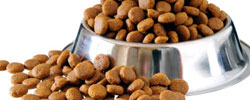 Pet Food coupons