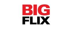 BigFlix coupons