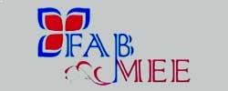 Fabmee coupons